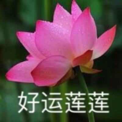 七侠五义果盘版下载