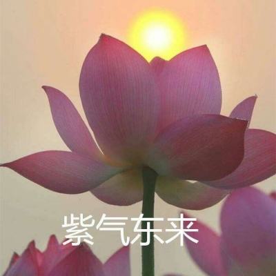 海神之路手游果盘版下载